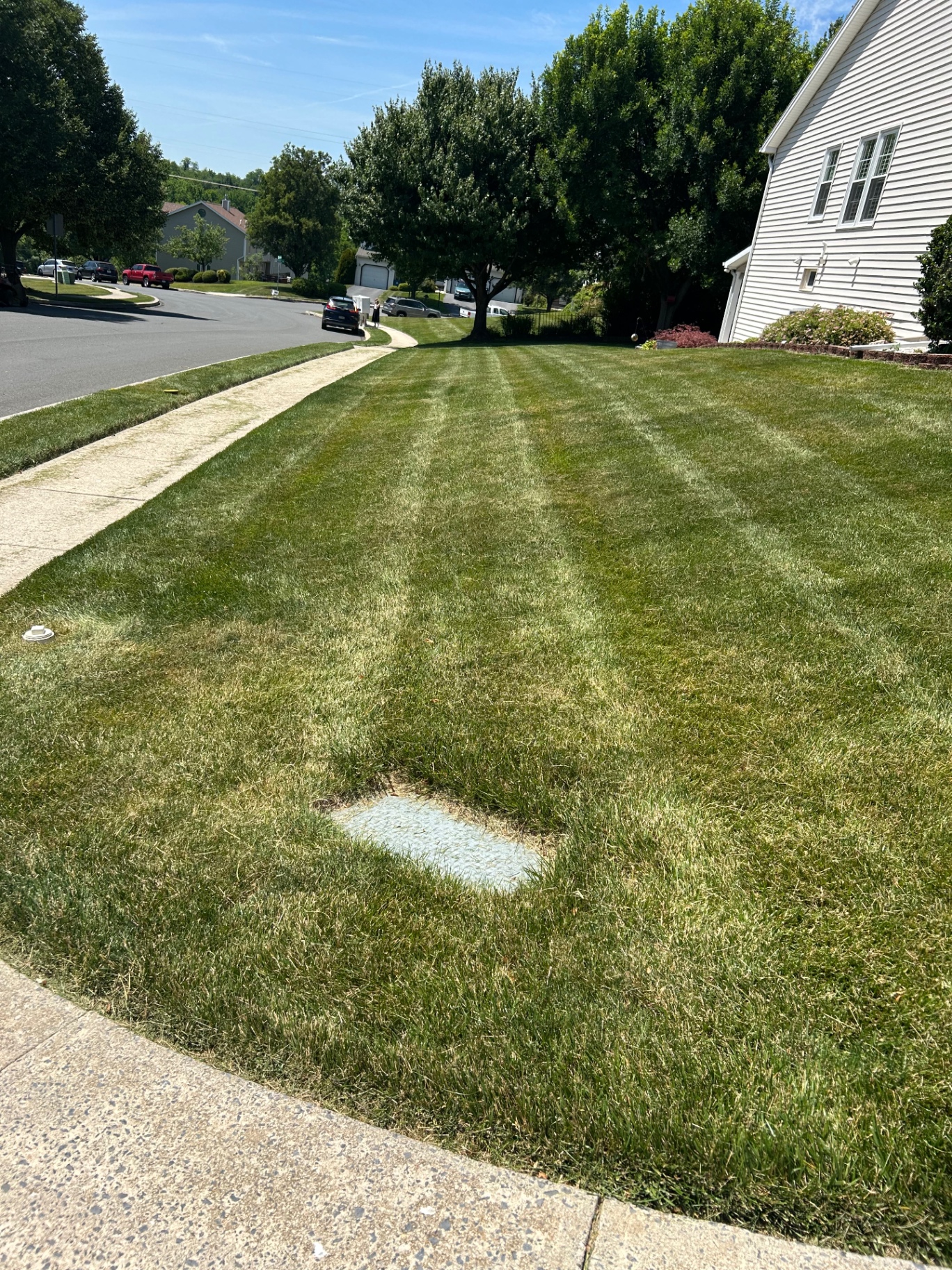 Neatly striped side yard lawn beside a sidewalk and home