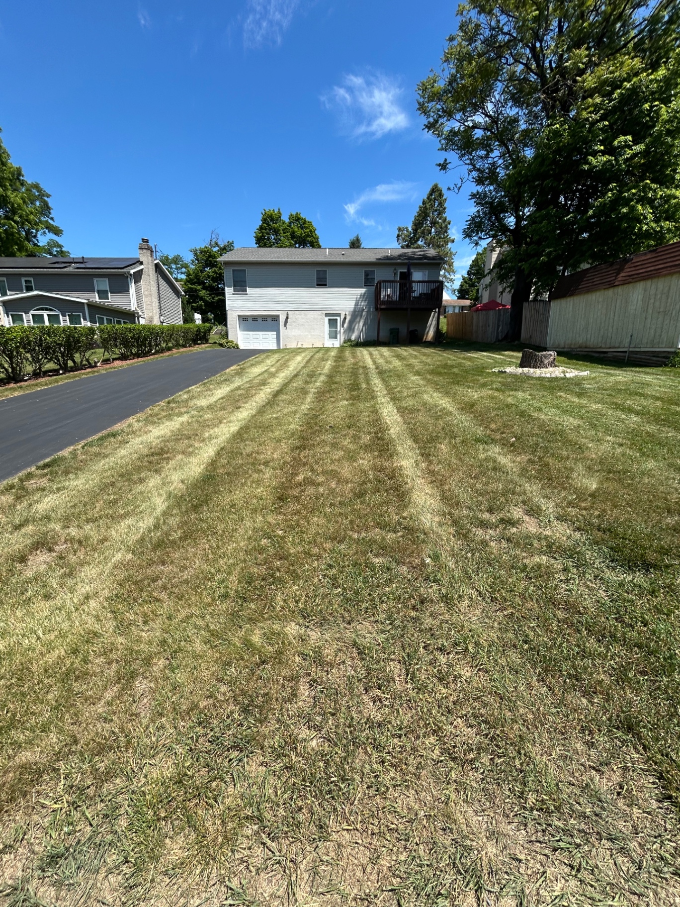 Large back lawn with bold mowing stripes leading toward a house and driveway