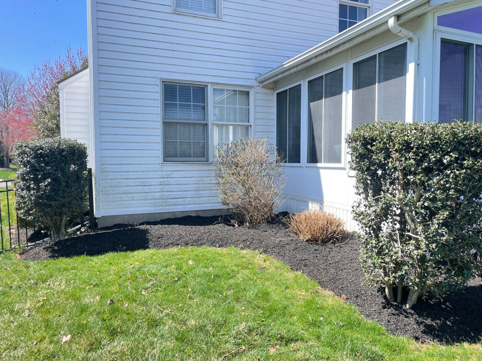 Freshly mulched bed along home with neatly edged lawn