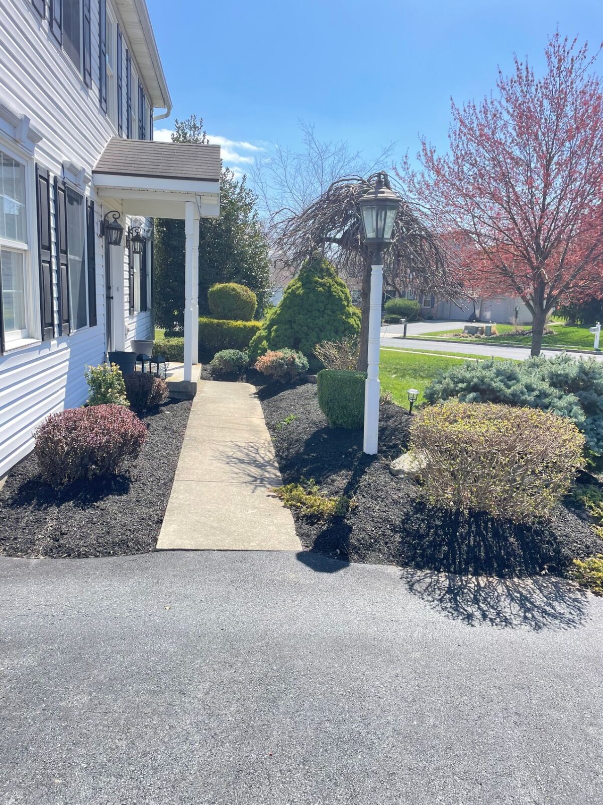 Mulched front walkway with manicured shrubs and lamp post