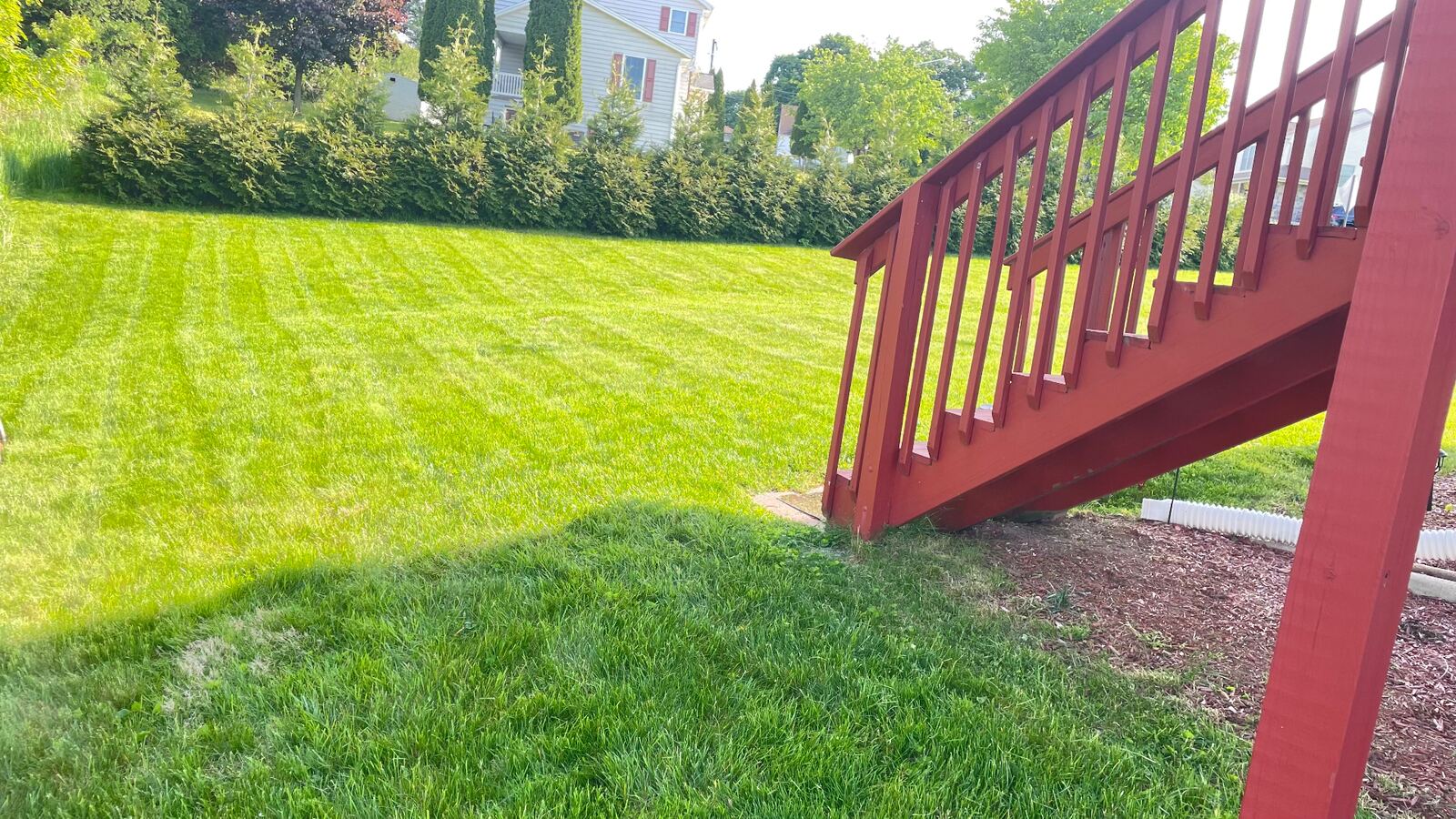 Crisp mowing stripes on a backyard lawn