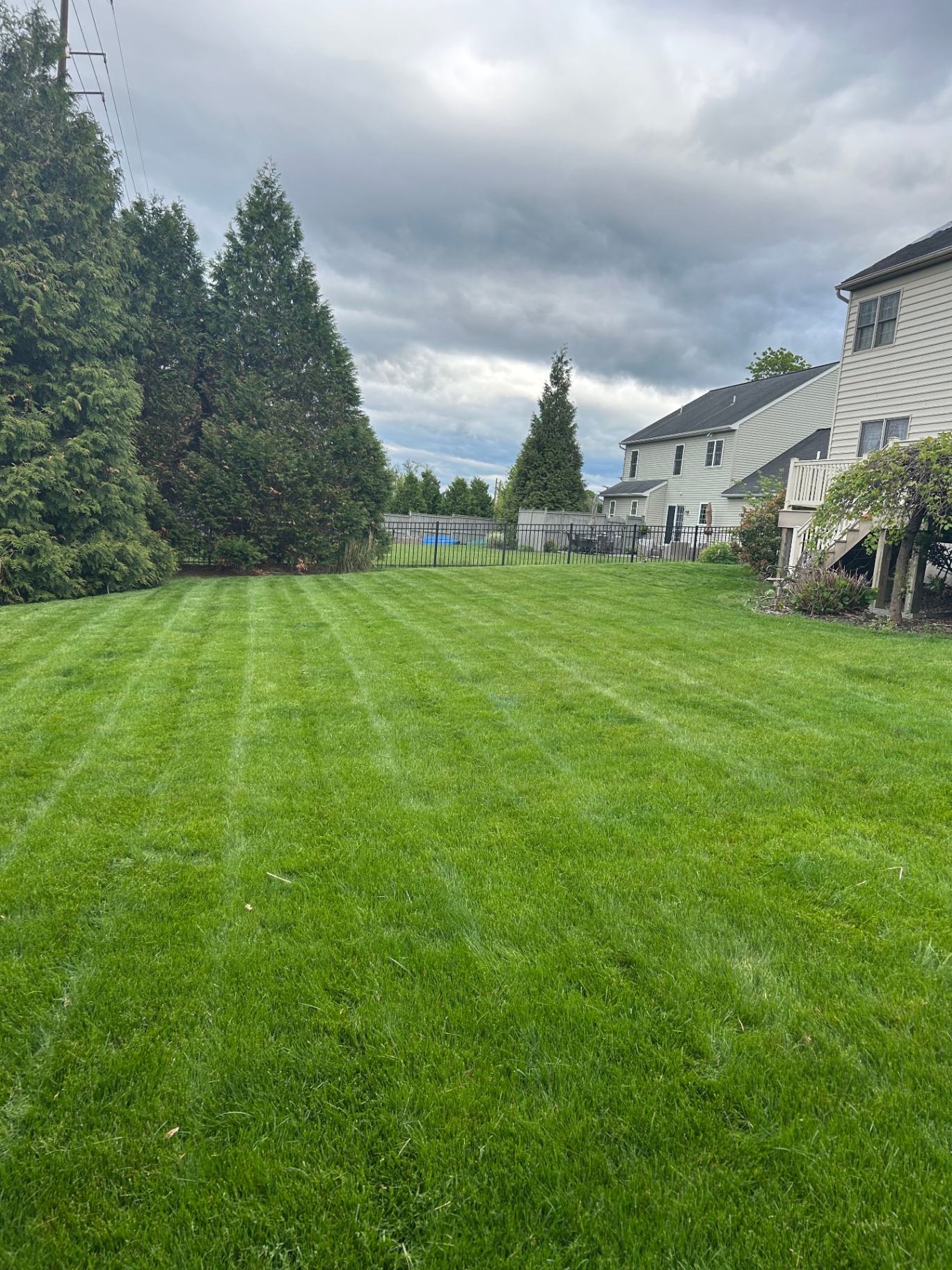 Lawn Care Services in Harrisburg, PA: What Homeowners Need to Know