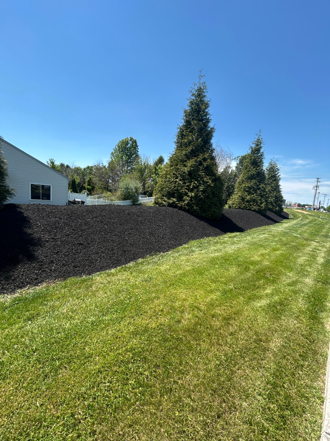 How Much Does Lawn Care Cost in Central PA? A Pricing Guide