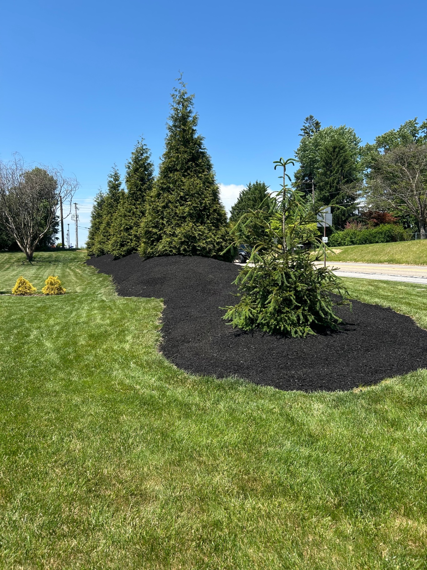 A Property Manager's Guide to Landscaping Contracts